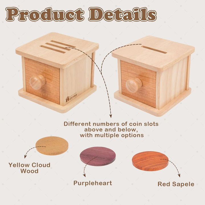 Adena Montessori Münzbox Holz für Babys – 2-in-1 Motorikspielzeug ab 6 Monate – Lernspielzeug für Fe