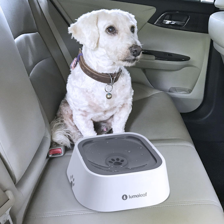 LumoLeaf Wassernapf für Hunde, 1L, Anti-Schwapp Fressnapf Hund Unterwegs, Kein Verschütten Auslaufsi