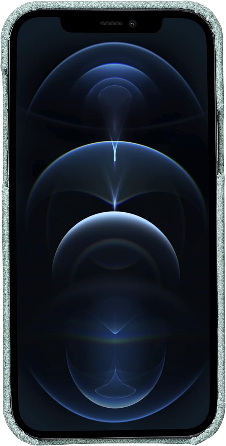 Solo Pelle Lederhülle für das iPhone 12 Pro Max in 6.7 Zoll Princeton Case Leder Hülle Ledertasche B