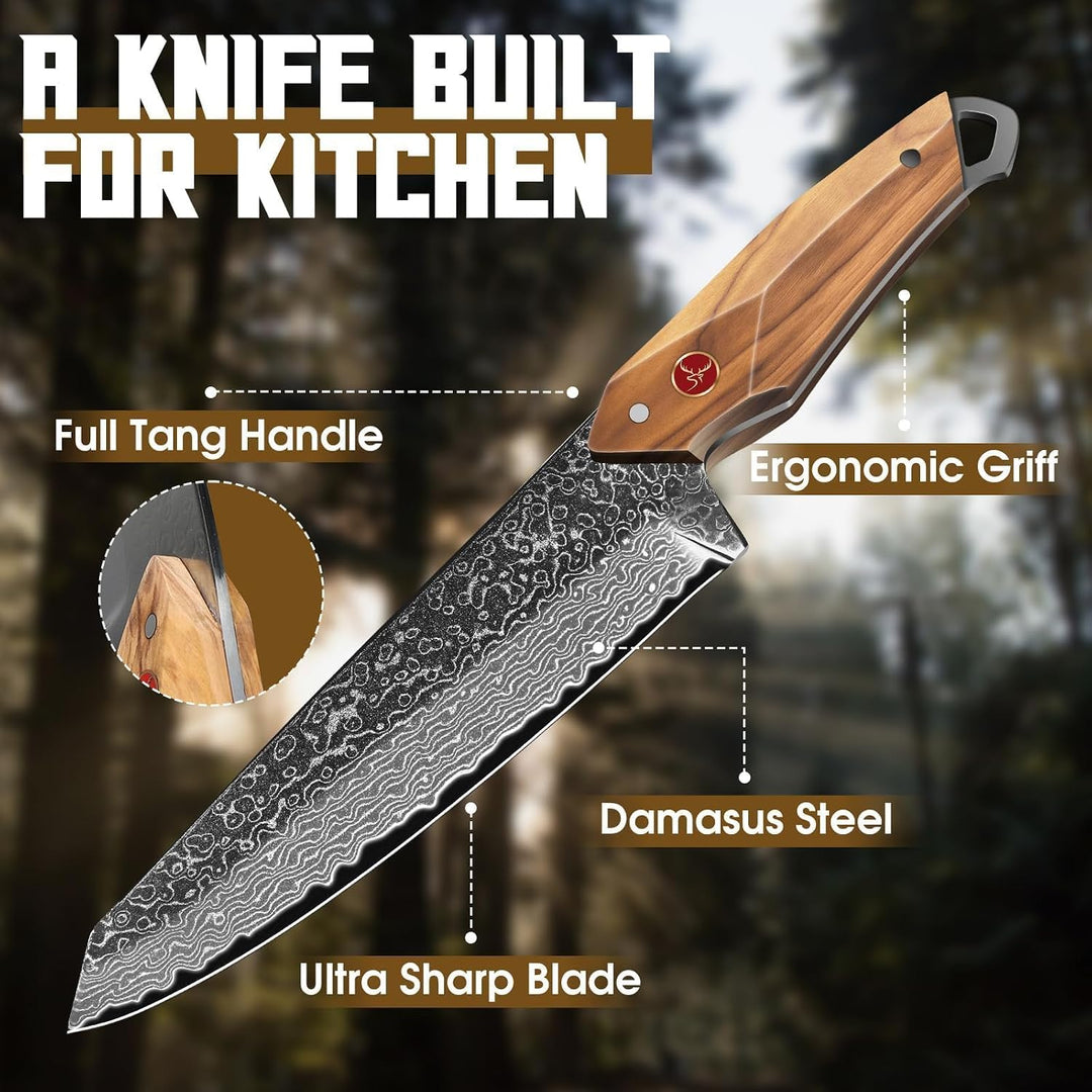 TAN REN Damastmesser, Kochmesser profi Messer, Damast Küchenmesser mit Geschenkbox, Handgeschmiedete