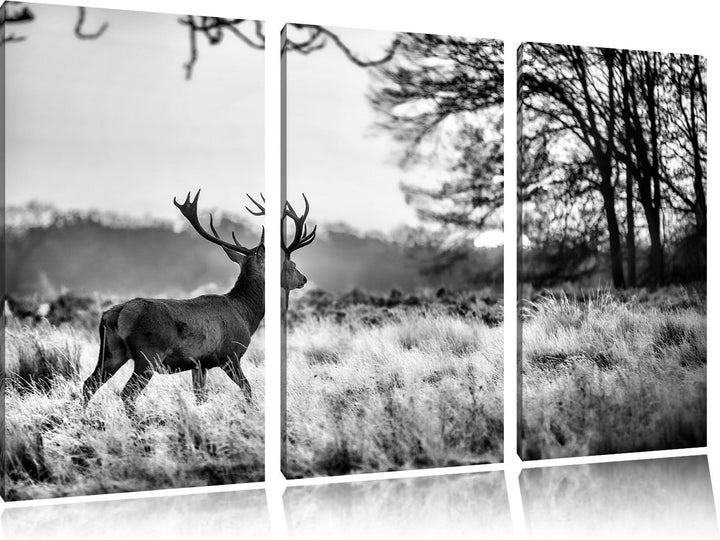 Pixxprint Hirsch im Sonnenuntergang als Leinwandbild/Grösse: 3 Teilig (120x80) cm/Wandbild/Kunstdruc