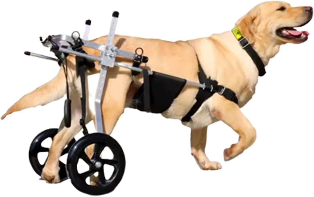 Mittlerer und grosser Hunderollstuhl, Rehabilitationshilfe, Hinterbeinstütze, Hundewagen mit Rädern,