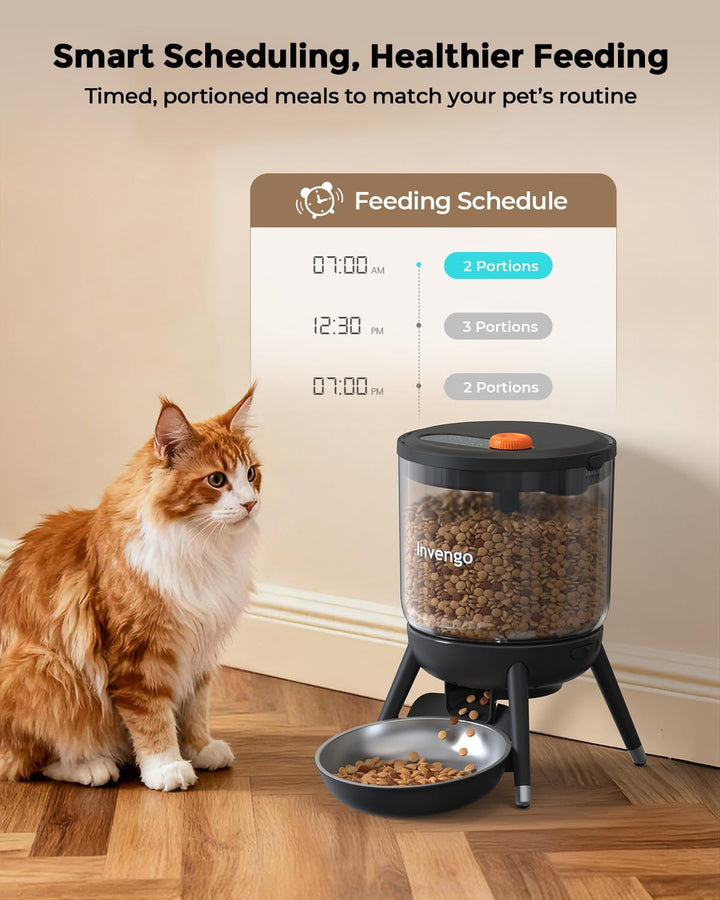 Katzenfutter Automat, Futterautomat Katze mit Zeitsteuerung, 3L Trichter, Doppelstromversorgung, Tro