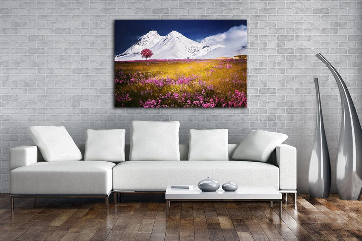 verführerisches Wiese vor denn eisigen Alpen Format: 100x70 als Leinwand, Motiv fertig gerahmt auf E