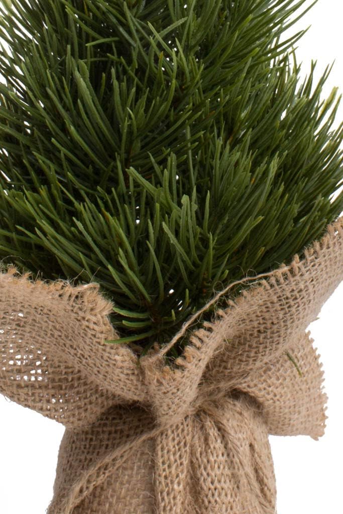 künstlicher Weihnachtsbaum (künstliche Tanne BZW. Kiefer) mit Sockel aus Jute, Höhe ca. 42 cm 15 x 4