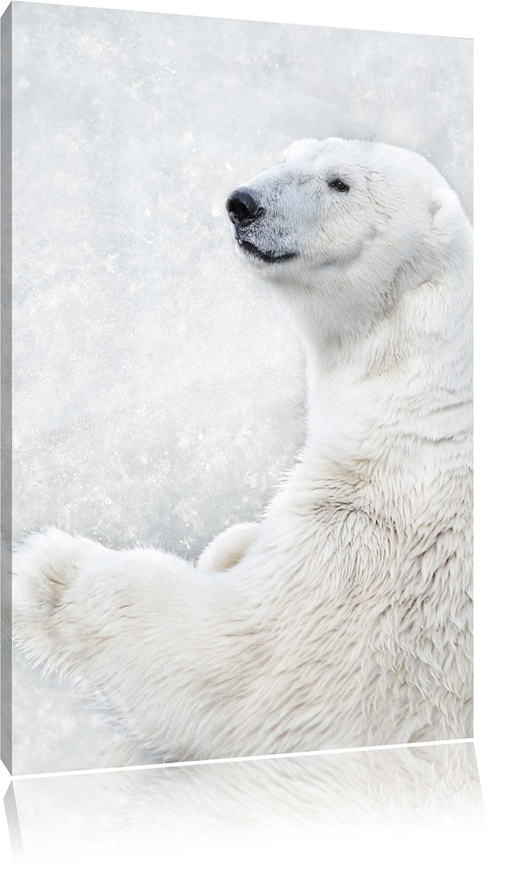 Stehender Eisbär, Format: 100x70 auf Leinwand, XXL riesige Bilder fertig gerahmt mit Keilrahmen, Kun