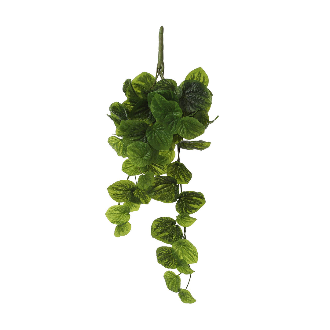 Mica decorations Peperomia - Kunsthängepflanze - H58 cm