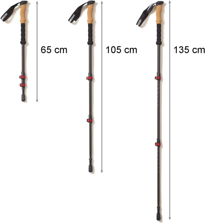Steinwood Premium Carbon Wanderstöcke - Trekkingstöcke - extra leicht, verstellbar mit Teleskop und
