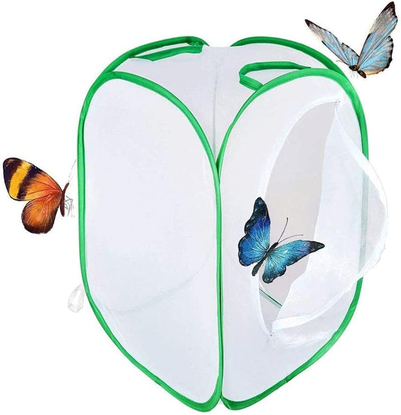 Yeelan Schmetterling Lebensraum zusammenklappbare Bug Catcher Net Mesh Insekten Pflanze Käfig Terrar