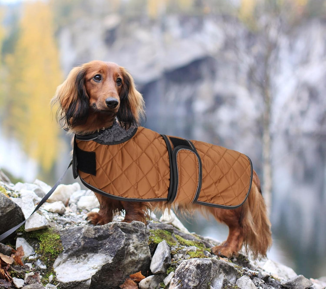MOREZI Hundemantel Winter für Dackel - Wasserdichter Hunde Pullover mit Wolle Futter &amp; Verstellbaren