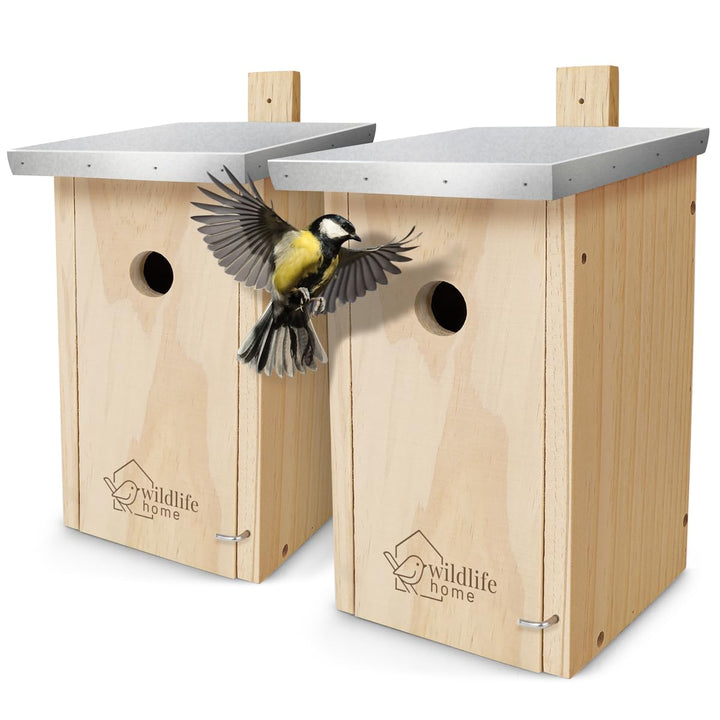 WILDLIFE HOME Nistkasten Meisen - 2er Set mit Metalldach für Kohlmeisen &amp; Co. I nach NABU aus versch