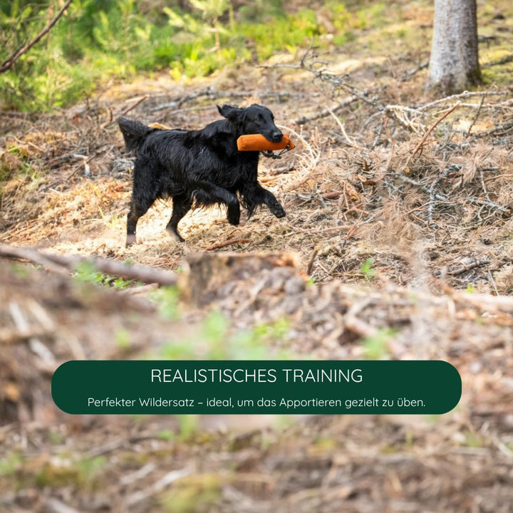 Romneys Hundetraining Dummy 500g - Robust & Schwimmfähig, Apportierprüfungen Zugelassen - Ideal für