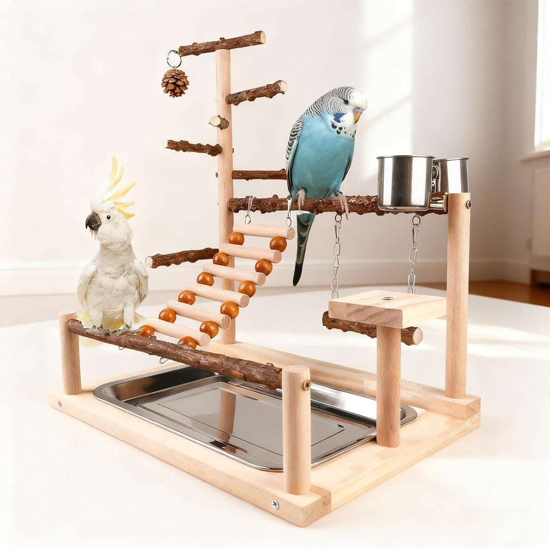 Vögel Spielplatz, Wellensittich Spielplatz Vogel-Spielplatz, Papageienspielständer Mit Feeder Cup Un