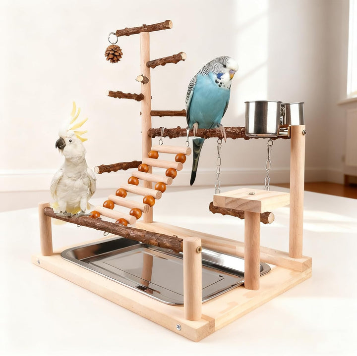 Vögel Spielplatz, Wellensittich Spielplatz Vogel-Spielplatz, Papageienspielständer Mit Feeder Cup Un