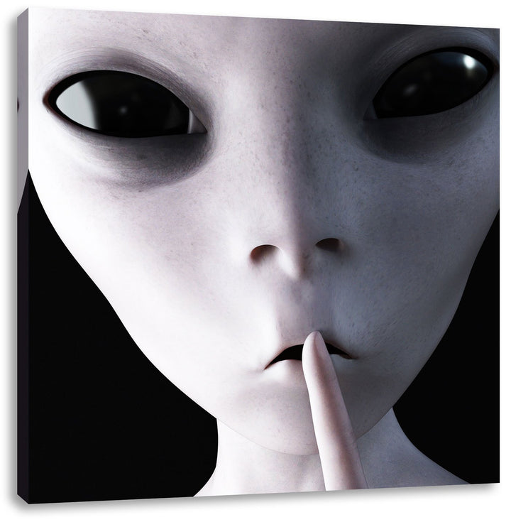Alien - nicht reden, Format: 70x70 auf Leinwand, XXL riesige Bilder fertig gerahmt mit Keilrahmen, K