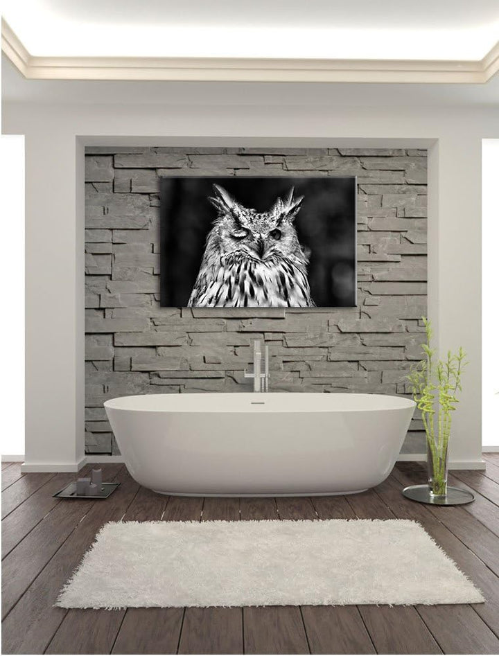 Pixxprint Waldohreule zwinkert / 100x70cm Leinwandbild bespannt auf Holzrahmen/Wandbild Kunstdruck D