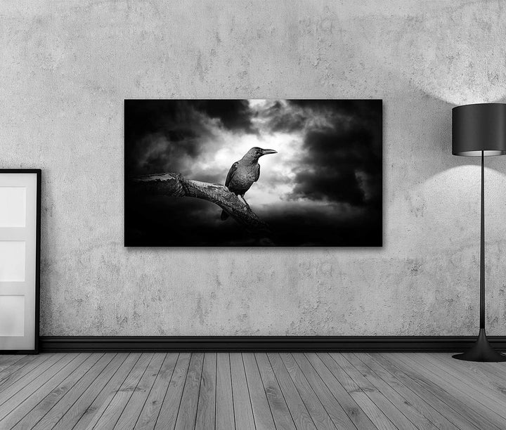 islandburner Bild auf Leinwand Rabe Auf Einem Zweig Bilder Wandbilder Poster Leinwand 100x57cm, Lein