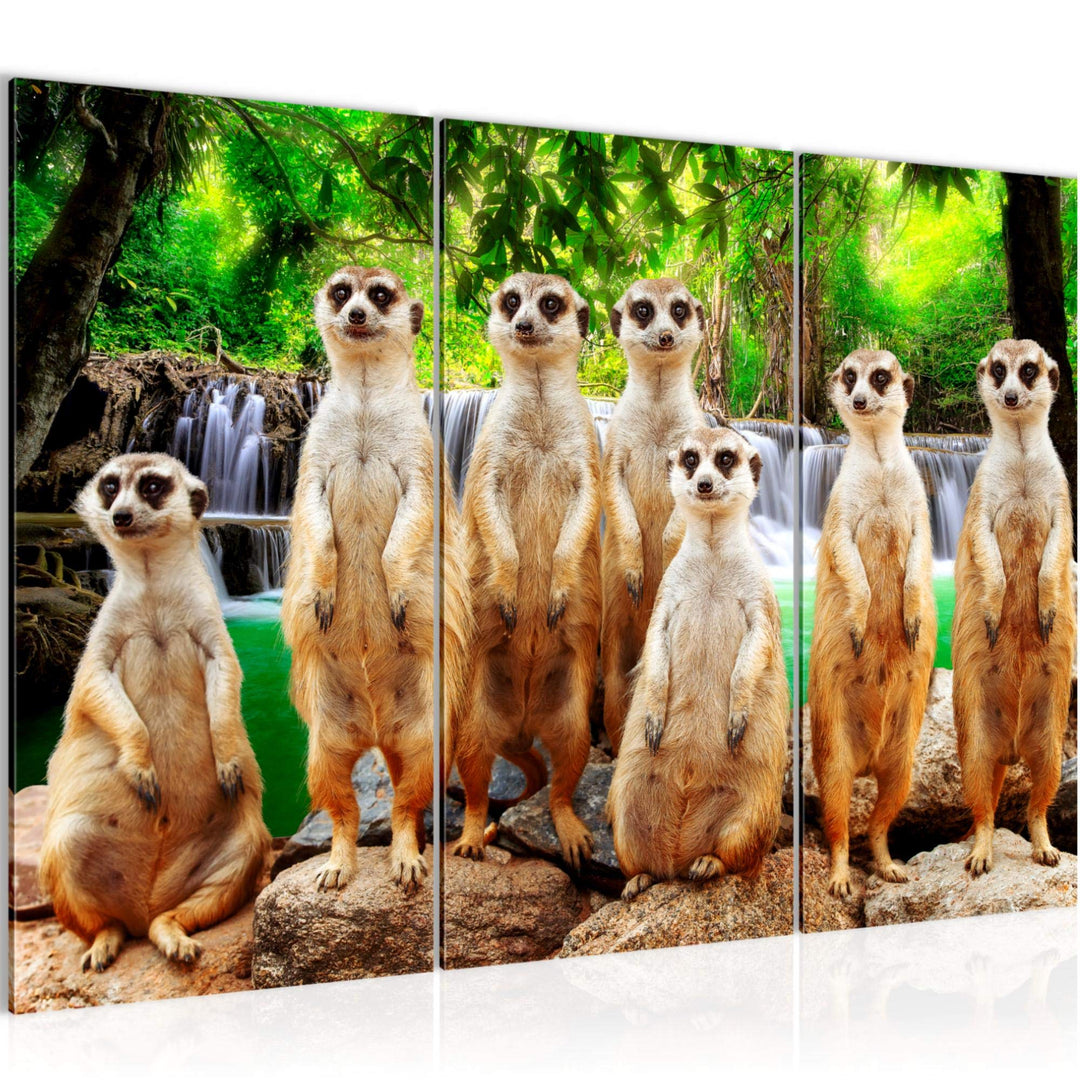 Runa Art Wandbilder Afrika Erdmännchen Bild XXL Wohnzimmer Schlafzimmer Bunt Natur Wasserfall 120 x