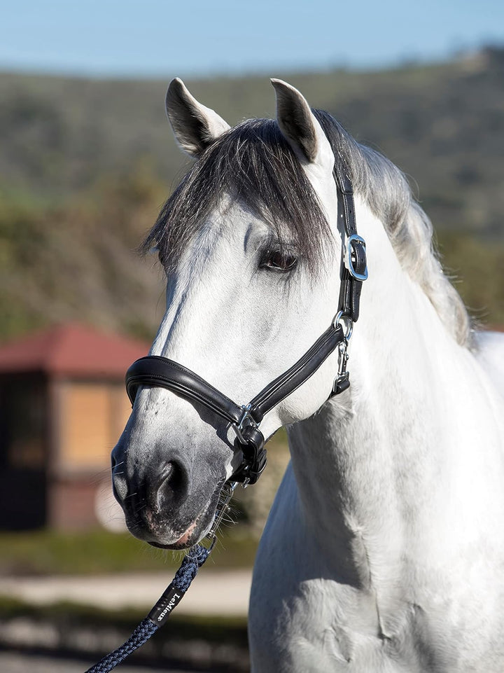 LeMieux Anatomic Leather Headcollar Anatomisches Lederhalfter