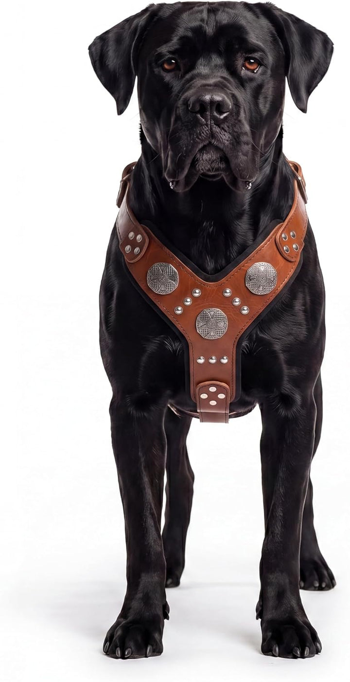 Bestia |Maximus| Leder Brustgeschirr für grosse Hunde. Bis 145 cm Brustumfang. 100% Leder. Handgefer