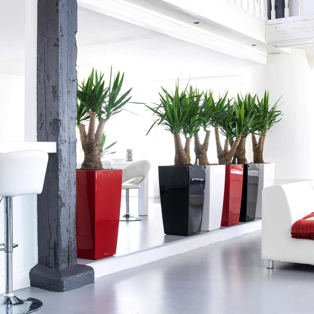 LECHUZA CUBICO Premium 40 anthrazit metallic 18194, 39.5x39.5x75.5 cm 39.5x39.5x75.5 cm Anthrazit Me