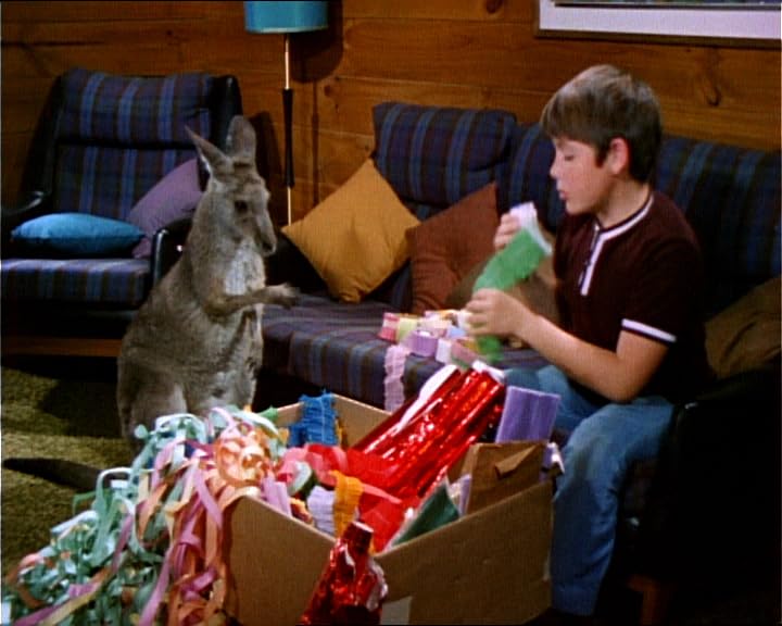 LCJ Skippy le kangourou, Saison 2 [6 DVDs] [FR Import], Computer