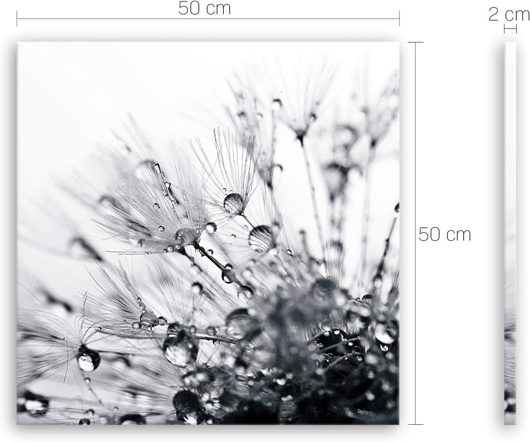 ge Bildet Bild auf Leinwand | another world - schwarz weiss - Blumen Natur Pusteblume H in 50x50 cm