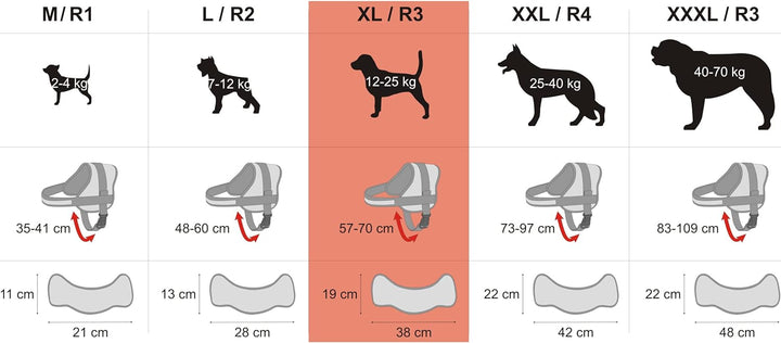 Geschirr für Hunde, Drucklos, Hundegeschirr, Reflektierend, Beschriftungen, R3: 57-70 cm, Asche R3: