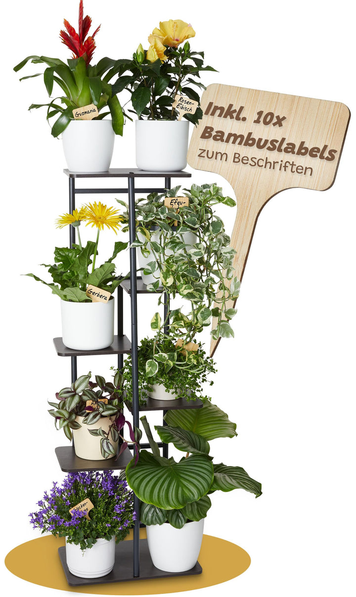 OLIDAN ® - Pflanzenständer - Beschriften der Pflanzen möglich - Blumenständer - Ablage für 8 Pflanze