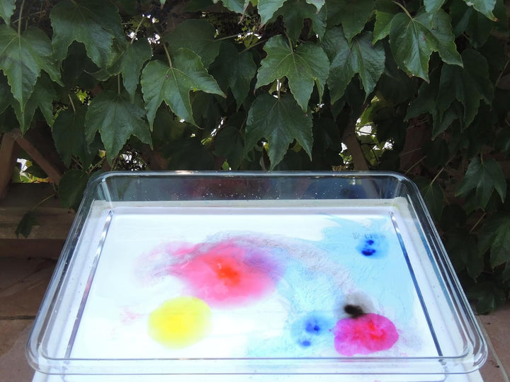 Montessori-Entdeckungswanne Transparent A2 | Aus PET-Kristall, Sicher &amp; Stabil | Für Wasser, Sand, F