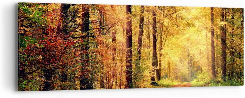 Panorama Bilder auf Leinwand Wald Baum Natur Leinwandbild mit Rahmen 90x30cm Wandbilder Dekoration W