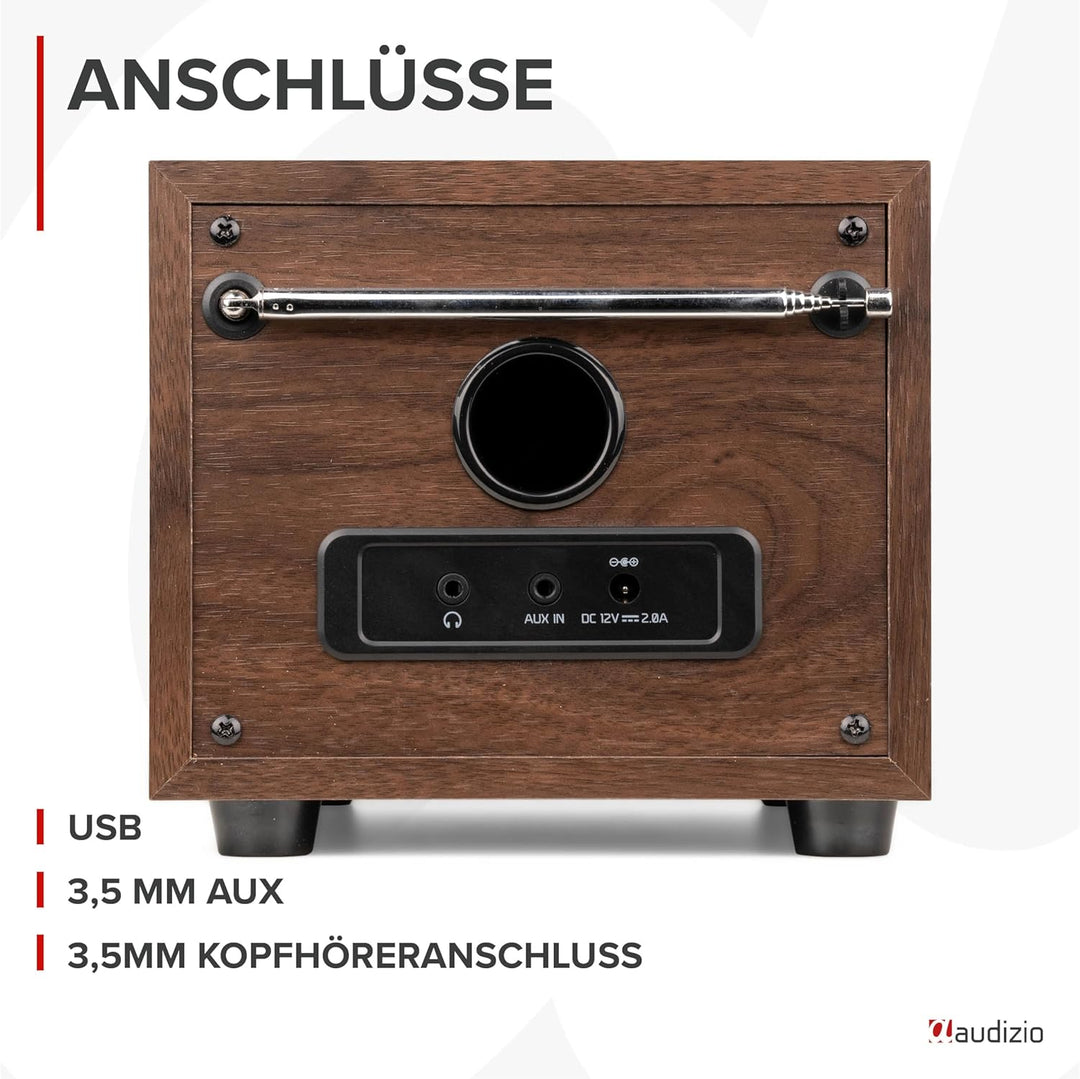 Audizio Vieste - DAB Radio mit Bluetooth, Digitalradio, 60 Watt Lautsprecher, DAB Plus Radio mit USB