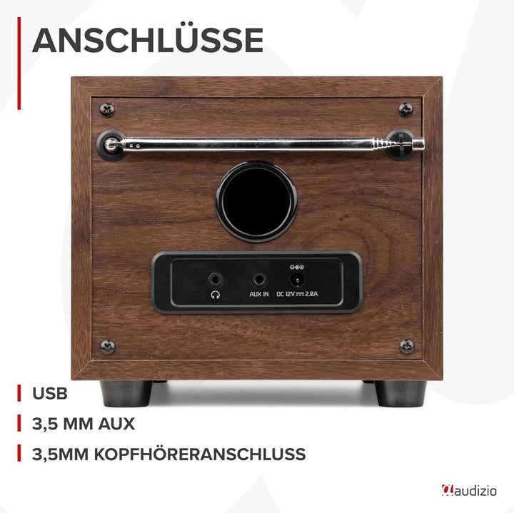 Audizio Vieste - DAB Radio mit Bluetooth, Digitalradio, 60 Watt Lautsprecher, DAB Plus Radio mit USB