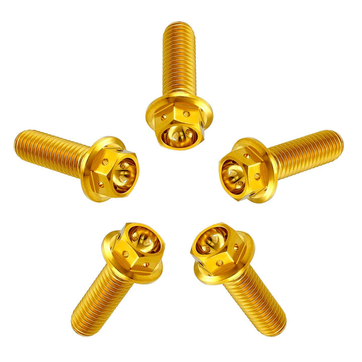 RISON Titanium Bolzen M6x1.0x10mm Titan Flansch Schrauben TC4 Titan Schrauben Sechskantschraube gold