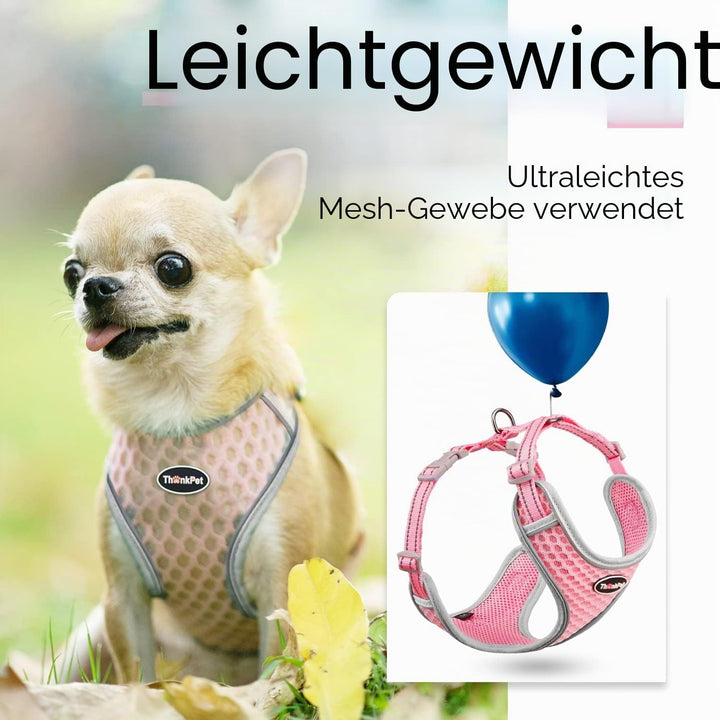 ThinkPet No-Pull Hundegeschirr Leine Set, Atmungsaktiv Brustgeschirr für Kleine Mittlere Grosse Hund