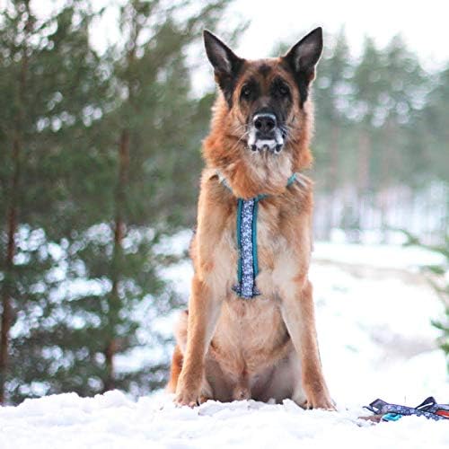 FFINNERO Ocean Hundegeschirr, weich, verstellbar, mit Neoprenpolsterung (45 cm, Türkis) türkis 45 cm