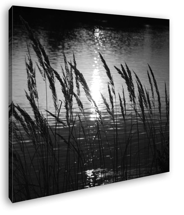 deyoli Gräser am Ufer eines Sees Format: 60x60 Effekt: Schwarz&Weiss als Leinwandbild, Motiv fertig