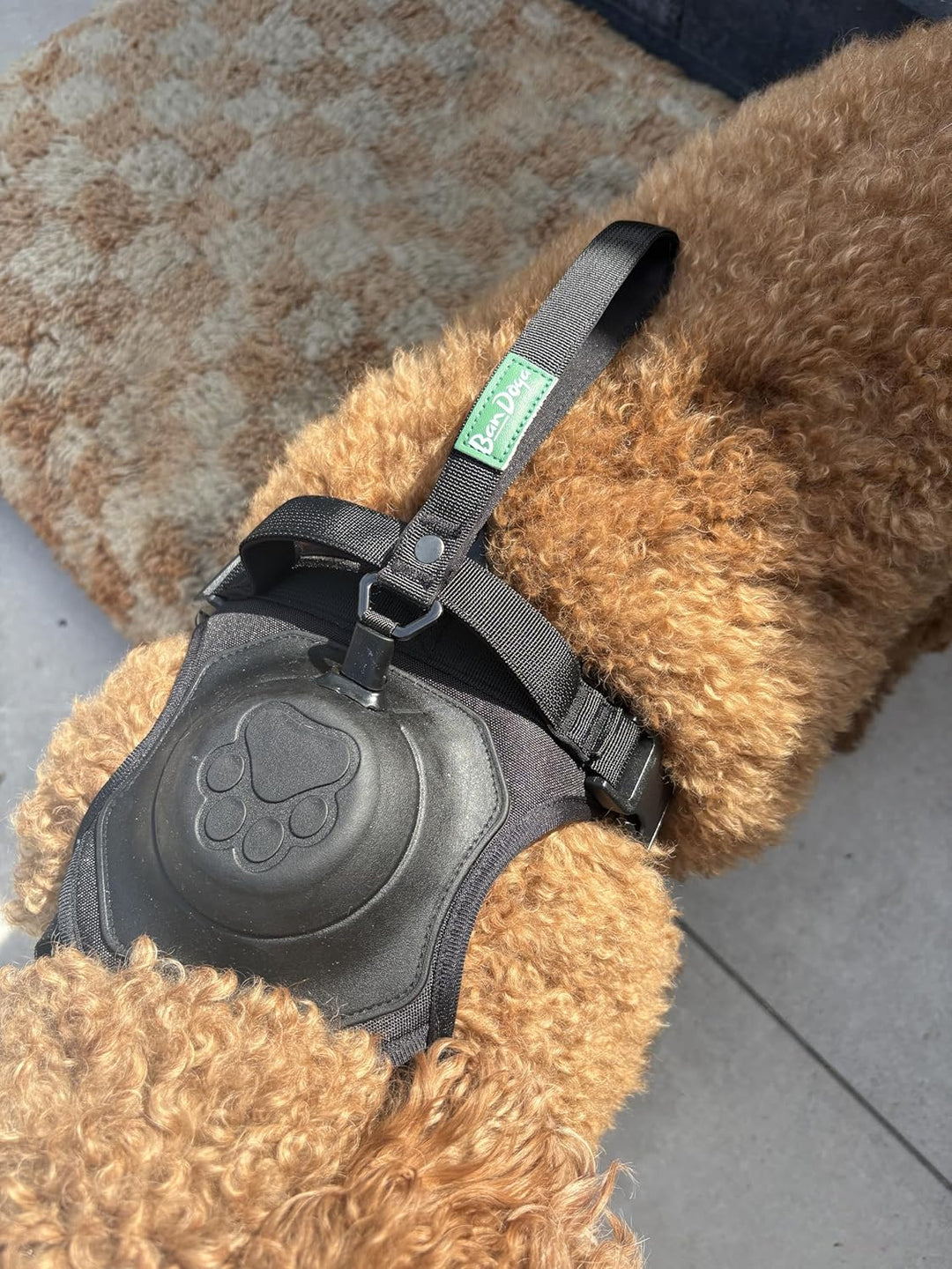 2-in-1 Hundegeschirr mit integrierter Leine – Innovatives Auto-Lock System für mehr Sicherheit &amp; Kom
