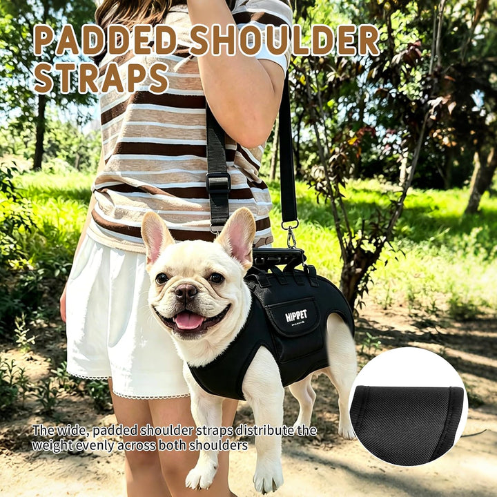 Hundetragetasche, Tragehilfe Hund Hundetragerucksack 2 in 1 Schulter und Rucksack, Verstellbare Trag