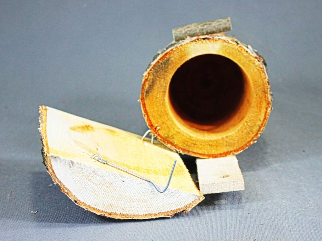 Nistkasten aus Birkenholz als natürlicher Brutkasten für kleine Vogelarten mit Einflugloch Ø 32 mm u