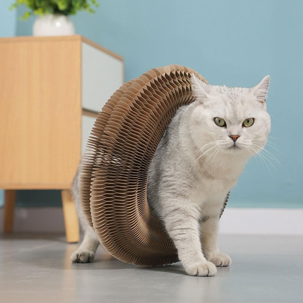 Kratzkokon für Katzen, 2-in-1 Katzenspielzeug Selbstbeschäftigung und Kitten Spielzeug mit Glocke, M