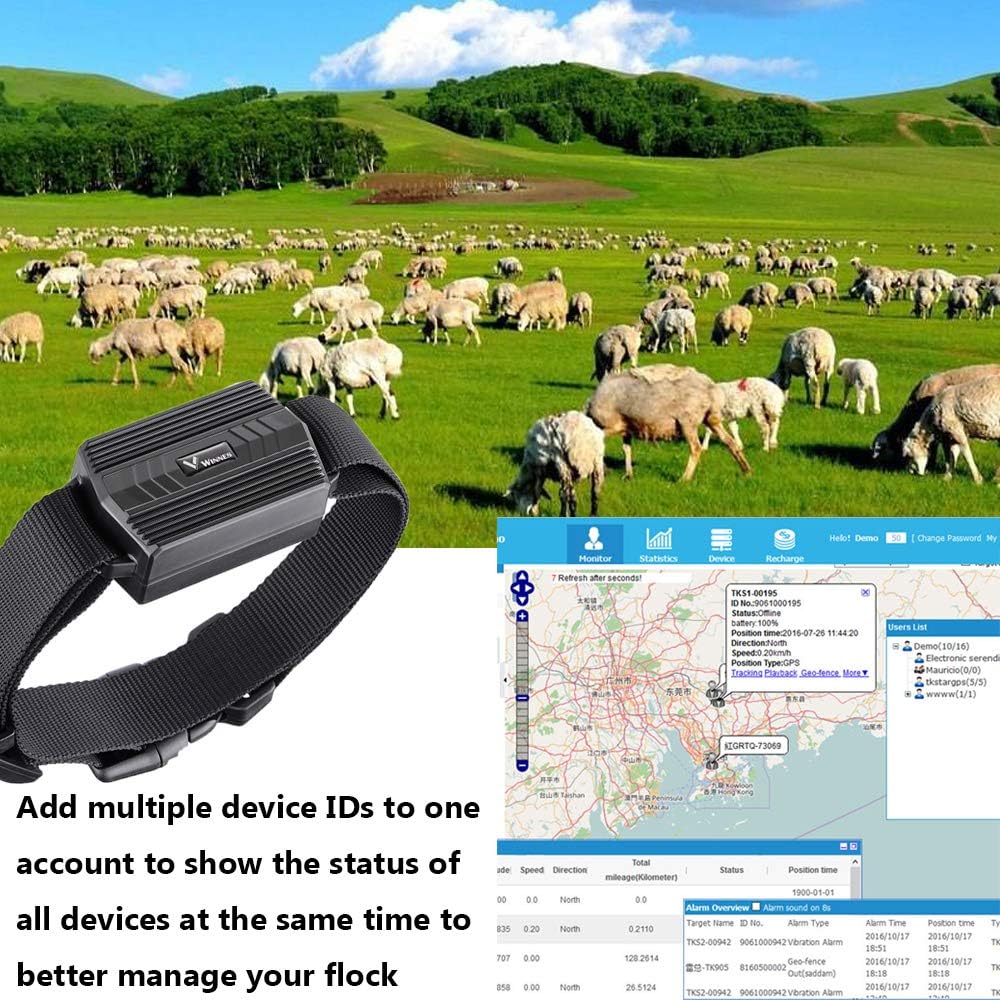 4G GPS Tracker Tier mit Halsband, 3000mAh Wasserdicht Rinder Schaf GPS-Tracker Weiden Anti Verloren