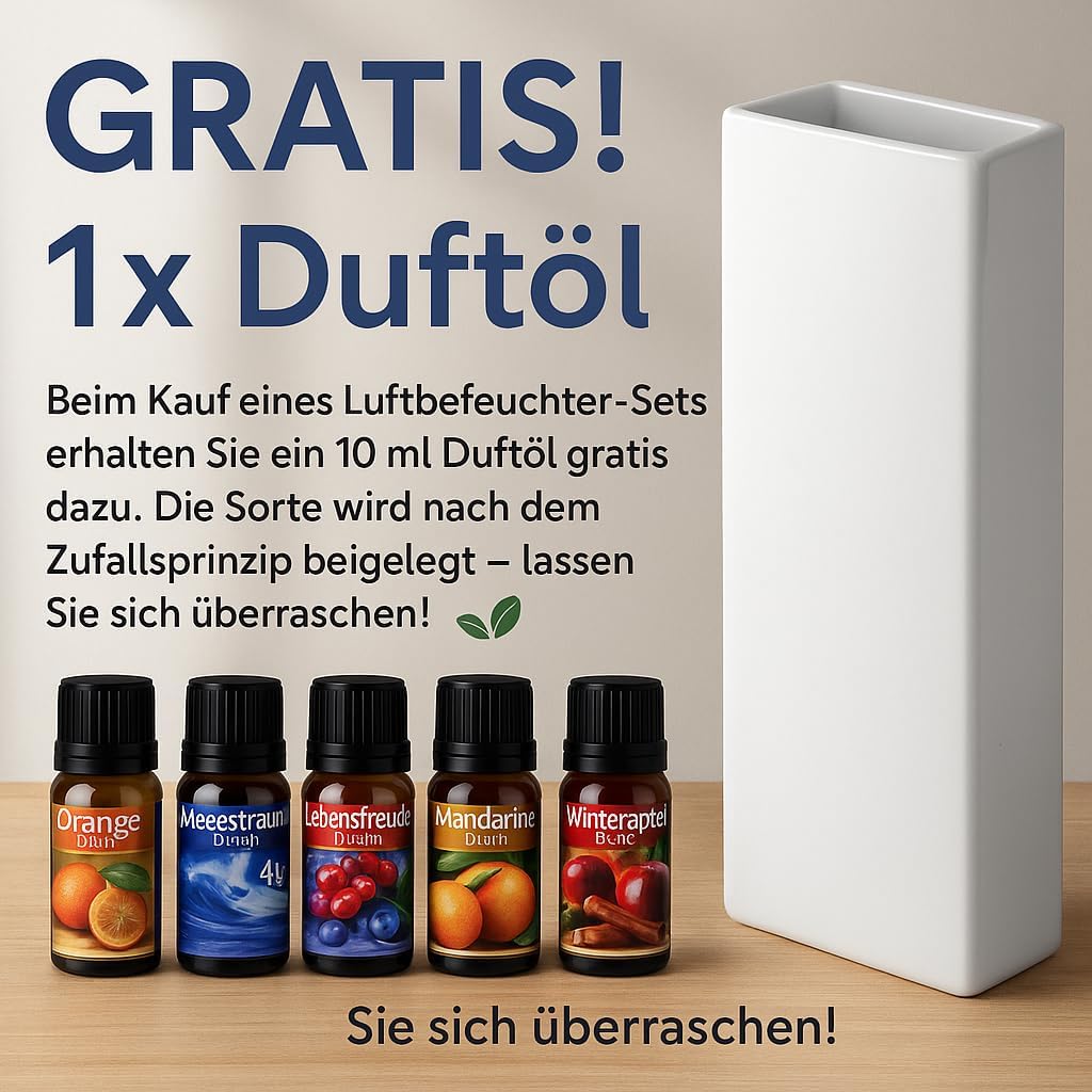 Luftbefeuchter für Heizung Set inkl. Haken - Keramik 380ml Wasserverdunster - weiss beige - Wasserve
