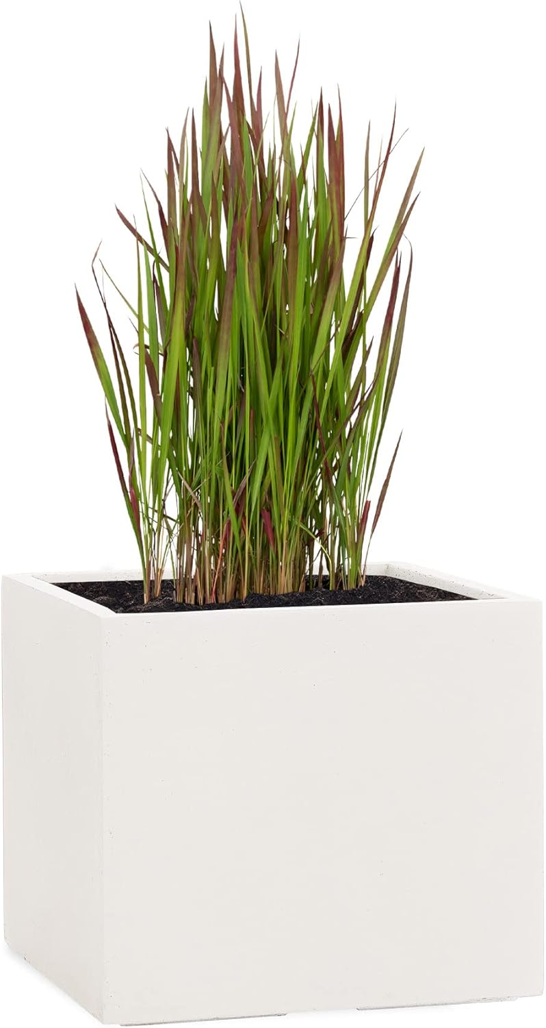 Pflanzwerk® Pflanzkübel Cube Sand 30x34x34cm *Frostbeständiger Blumenkübel* *UV-Schutz* *Qualitätswa