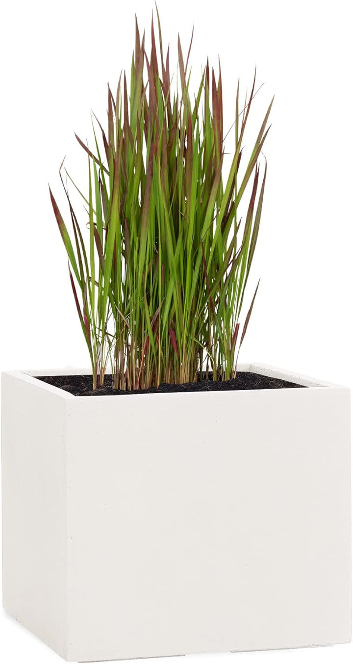 Pflanzwerk® Pflanzkübel Cube Sand 30x34x34cm *Frostbeständiger Blumenkübel* *UV-Schutz* *Qualitätswa
