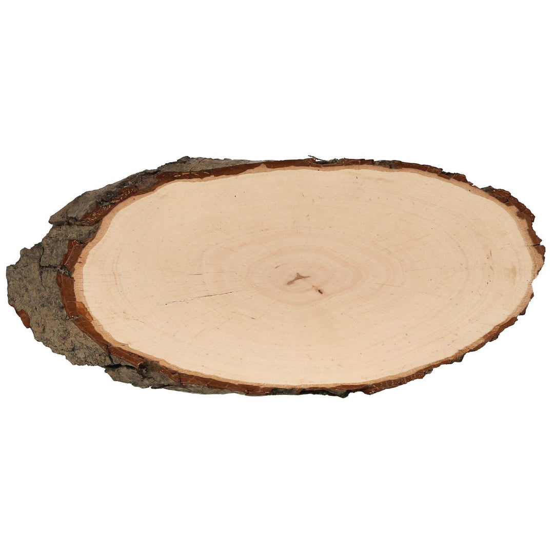 Bütic Holzscheibe Esche oval B-Ware - Rindenscheibe Baumscheibe geschliffen Holzbrett ca. 90cm lang,