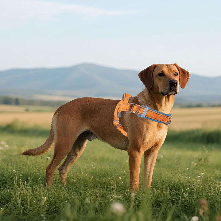 AIITLE Verbessertes Anti-Zug-Hundegeschirr für kleine Hunde, weiches Haustier-Westengeschirr, Hals u