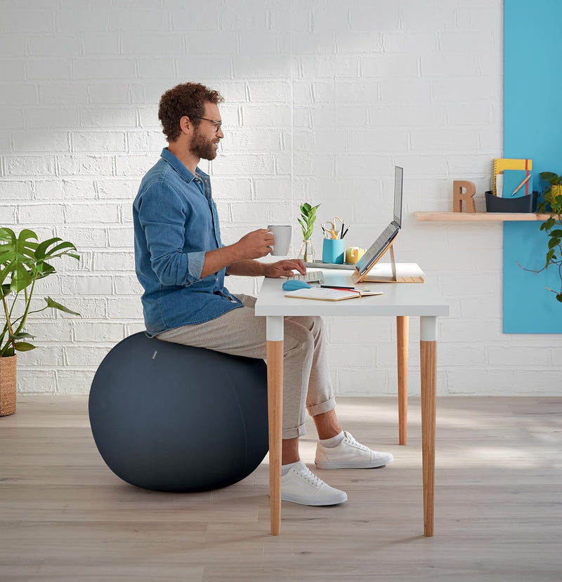 Leitz Sitzball für aktives Sitzen, Gymnastikball, Ergonomische Alternative zum Schreibtischstuhl, 65