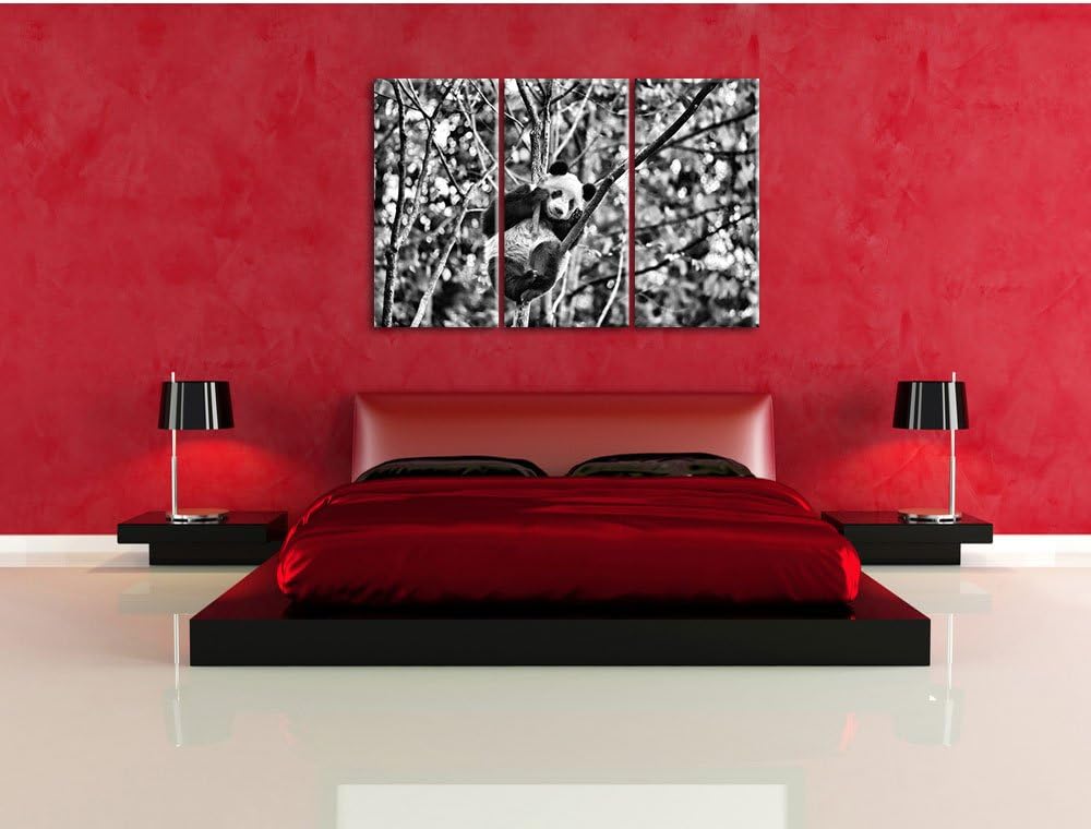 Pixxprint niedlicher Pandabär auf Baum als Leinwandbild/Grösse: 3 Teilig (120x80) cm/Wandbild/Kunstd