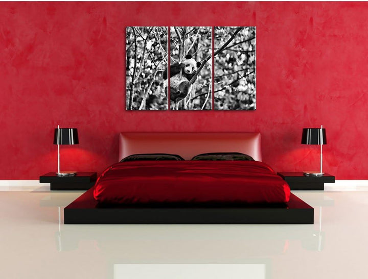 Pixxprint niedlicher Pandabär auf Baum als Leinwandbild/Grösse: 3 Teilig (120x80) cm/Wandbild/Kunstd
